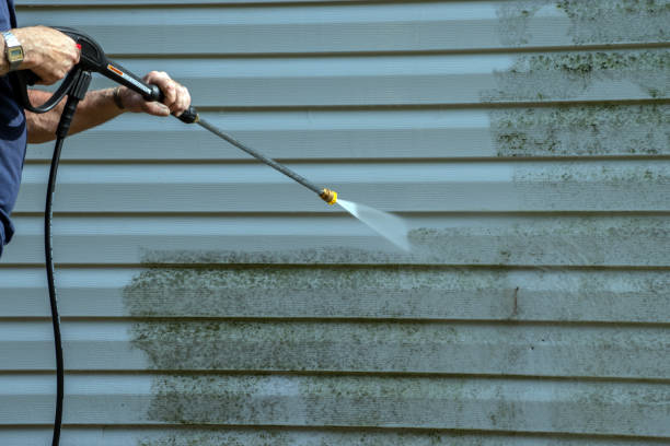 Best Solar Panel Cleaning  in Tecumseh, NE